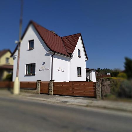 Penzion Burda Sepekov Zewnętrze zdjęcie